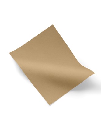 PORON Medical® Carne 2 mm. 680 x 500 mm.