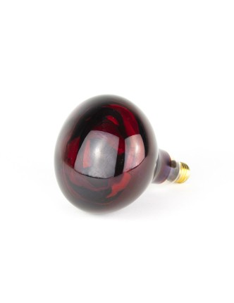 Bombilla infrarrojos 275 w